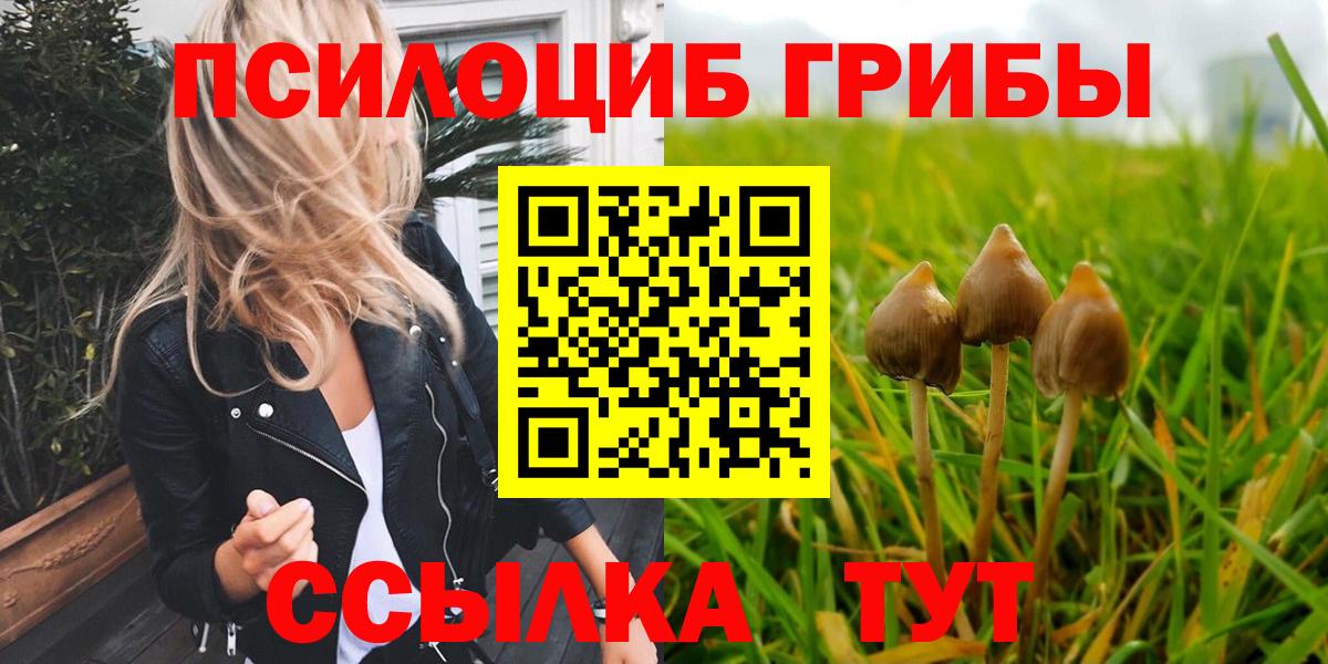 Галлюциногенные грибы Psilocybe Якутск